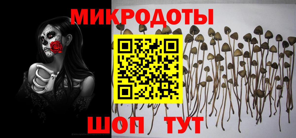 Сланцы  Псилоцибиновые грибы ЛСД  Вход с VPN 