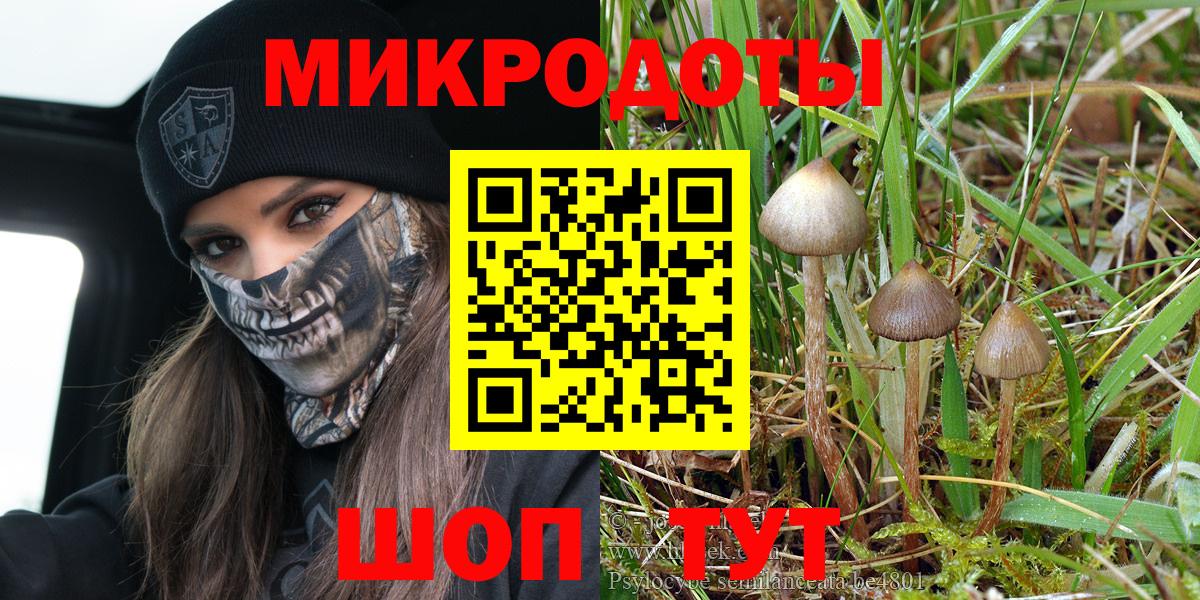 Псилоцибиновые грибы MAGIC MUSHROOMS Сланцы